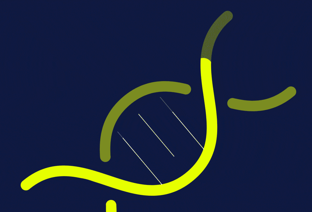 animated illustration